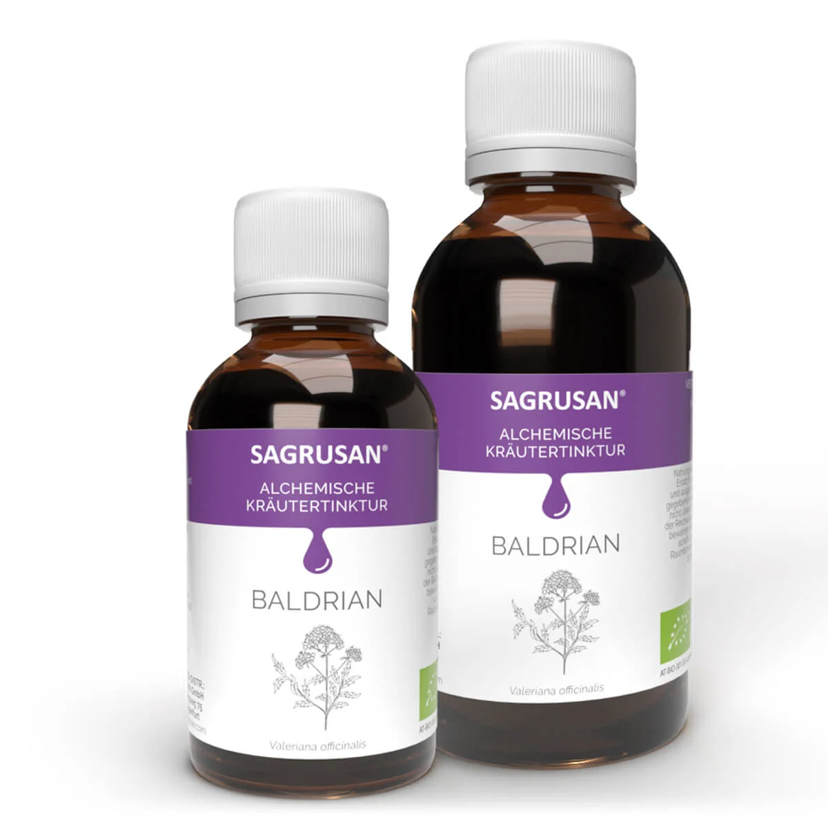 Brahmi Churna Tinktur 50 ml, BIO