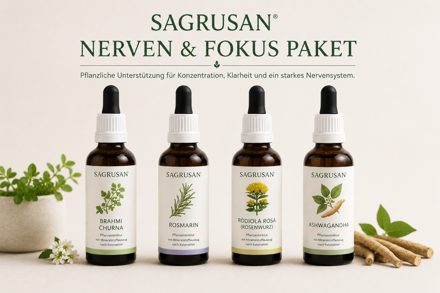 Nerven und Fokus – SAGRUSAN Pflanzenpaket