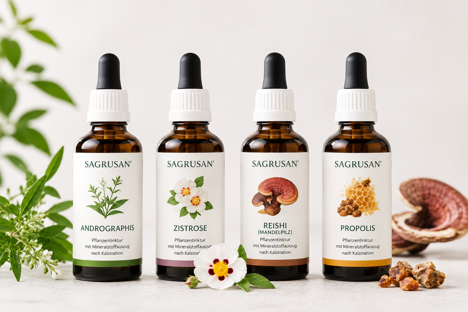 Immunsystem – SAGRUSAN Pflanzenpaket